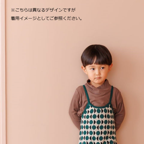 【drop2】&pal（アンドパル）2024AW high-necked longsleeve tops border マルチタートルネック ボーダー