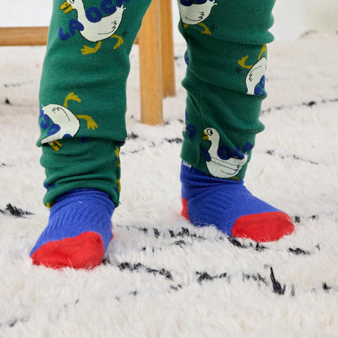 【D2】BOBOCHOSES 2025AW BOBOCHOSES color block long socks ベビーソックス