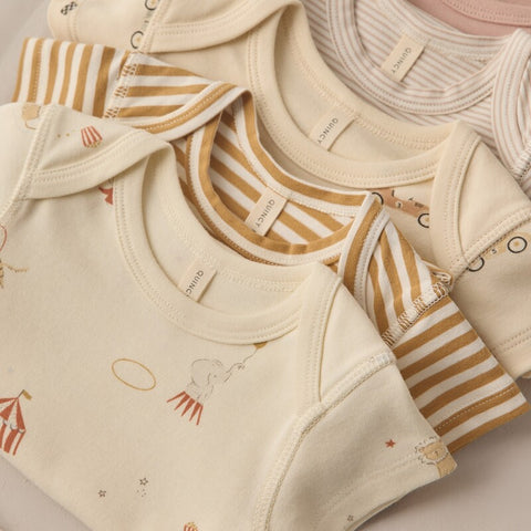 【D2】Quincy Mae（クインシーメイ）2026SS　SHORT SLEEVE BODYSUIT PACK  -CARNIVAL, HONEY STRIPE-  ショートスリーブボディスーツパック