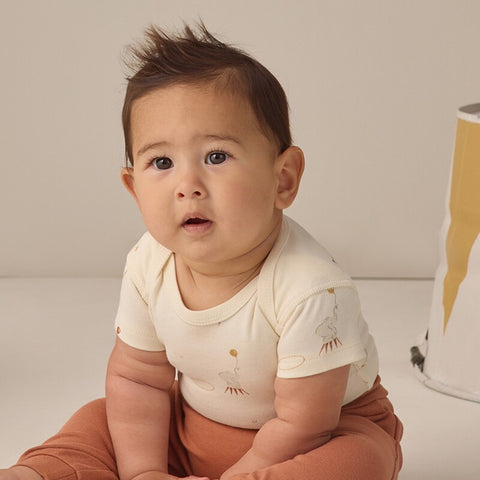 【D2】Quincy Mae（クインシーメイ）2026SS　SHORT SLEEVE BODYSUIT PACK  -CARNIVAL, HONEY STRIPE-  ショートスリーブボディスーツパック