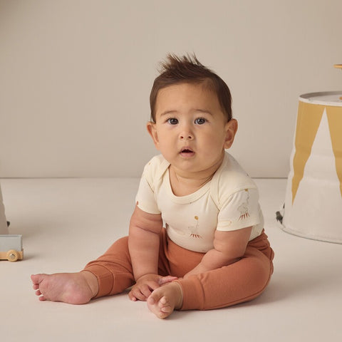 【D2】Quincy Mae（クインシーメイ）2026SS　SHORT SLEEVE BODYSUIT PACK  -CARNIVAL, HONEY STRIPE-  ショートスリーブボディスーツパック