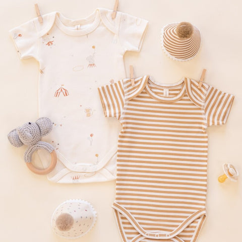 【D2】Quincy Mae（クインシーメイ）2026SS　SHORT SLEEVE BODYSUIT PACK  -CARNIVAL, HONEY STRIPE-  ショートスリーブボディスーツパック