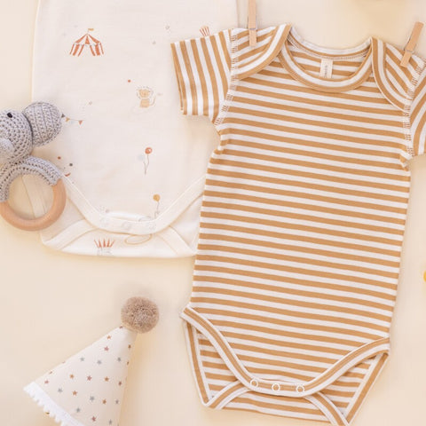 【D2】Quincy Mae（クインシーメイ）2026SS　SHORT SLEEVE BODYSUIT PACK  -CARNIVAL, HONEY STRIPE-  ショートスリーブボディスーツパック
