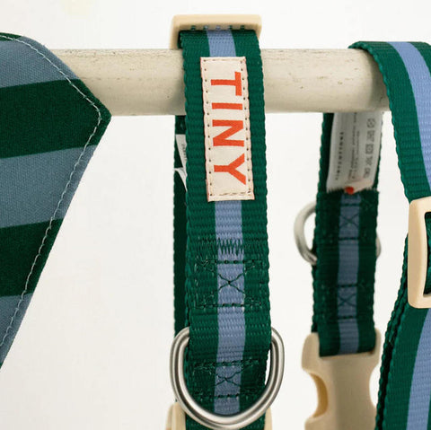 【drop2】TINYCOTTONS / タイニーコットンズ 2026AW - Pets Collection - STRIPES ADJUSTABLE COLLAR  犬用首輪、カラー