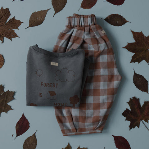 【D1】organic zoo（オーガニックズー）2026AW Maple Gingham Lodge Pants パンツ