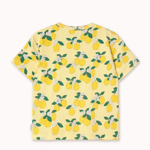 【drop1】TINYCOTTONS / タイニーコットンズ 2026SS ORANGES RIB TEE 半袖リブTシャツ