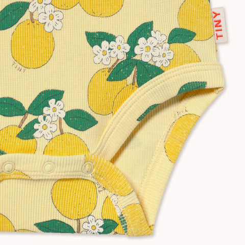 【drop1】TINYCOTTONS / タイニーコットンズ 2026SS ORANGES RIB BODY 半袖ロンパース