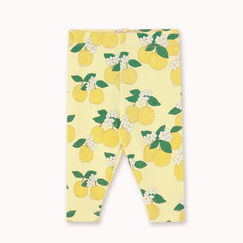 【drop1】TINYCOTTONS / タイニーコットンズ 2026SS ORANGES RIB BABY PANT ベビーパンツ、レギンス