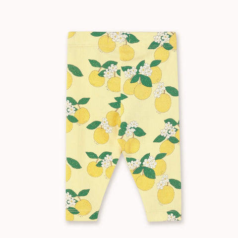 【drop1】TINYCOTTONS / タイニーコットンズ 2026SS ORANGES RIB BABY PANT ベビーパンツ、レギンス