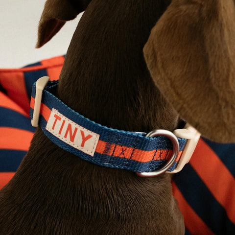 【drop2】TINYCOTTONS / タイニーコットンズ 2026AW - Pets Collection - STRIPES ADJUSTABLE COLLAR  犬用首輪、カラー